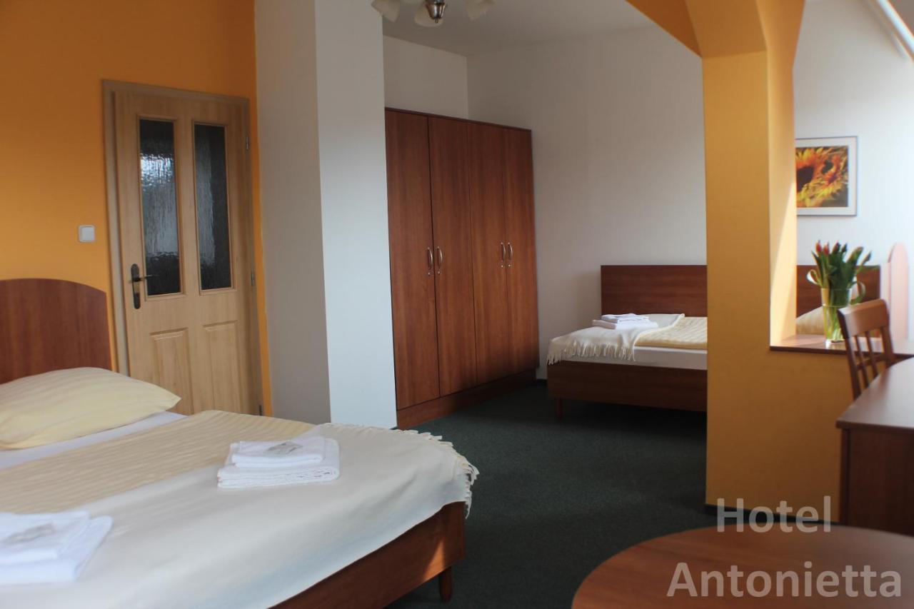 Hotel Antonietta Теплице Экстерьер фото