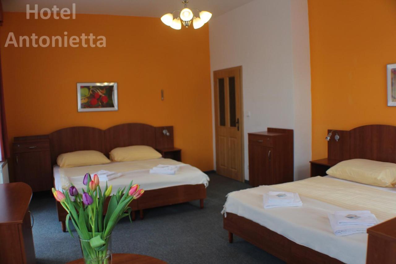 Hotel Antonietta Теплице Экстерьер фото