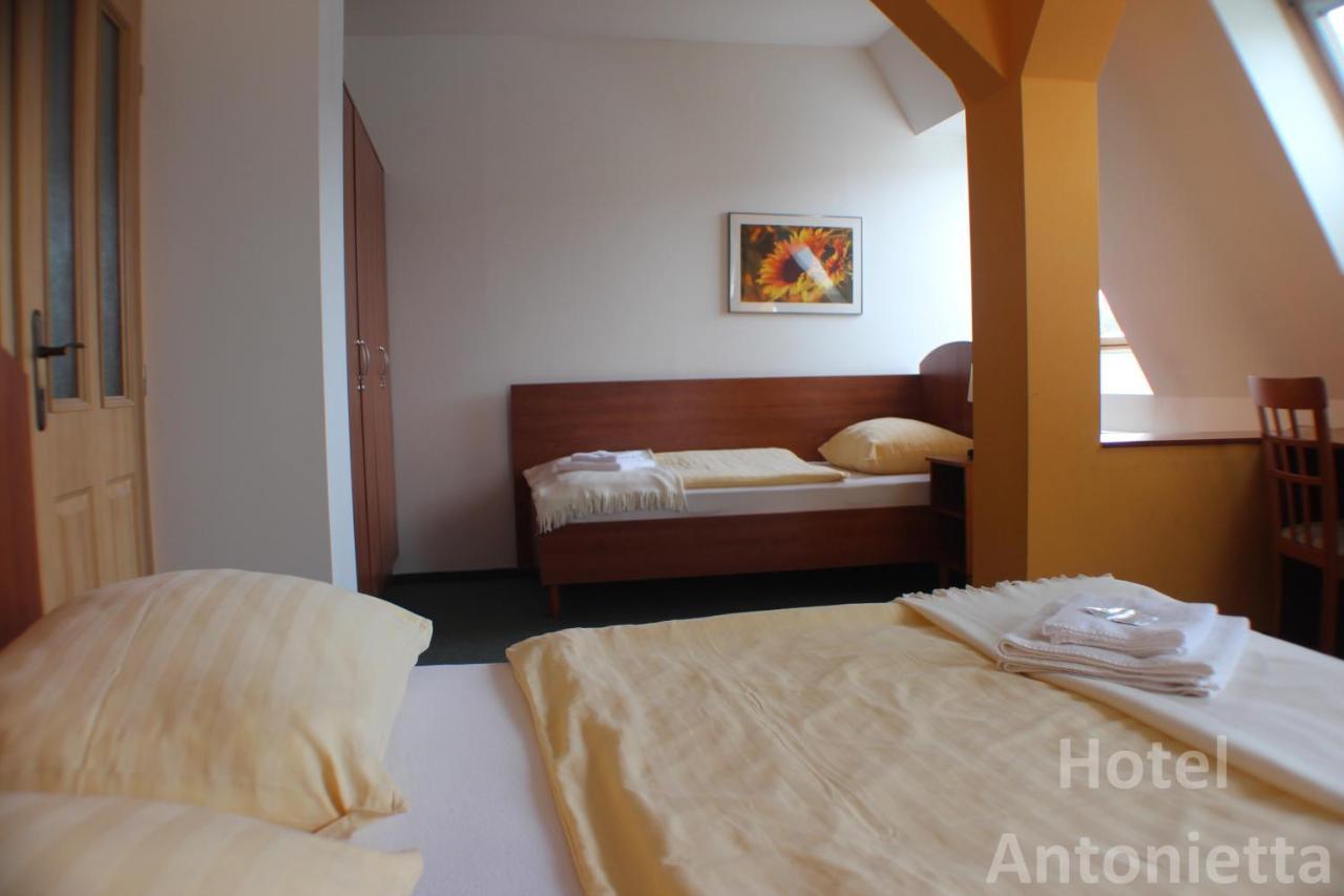 Hotel Antonietta Теплице Номер фото